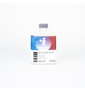 DS Color-WATERBASE SERIE 900-DE BEER SPECIAL 59-21 0,11LT