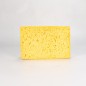 COLAD SPONGES 1 UNIT