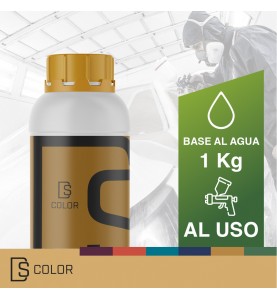 DS COLOR WATER-BASED PAINT 1 KG - READY TO USE